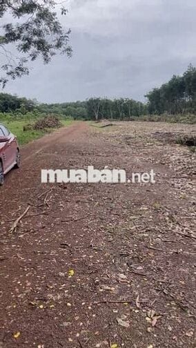 4 MIẾNG ĐẤT sổ đỏ TÂN LỢI TÌM NĂNG >1000m2 từ 400tr