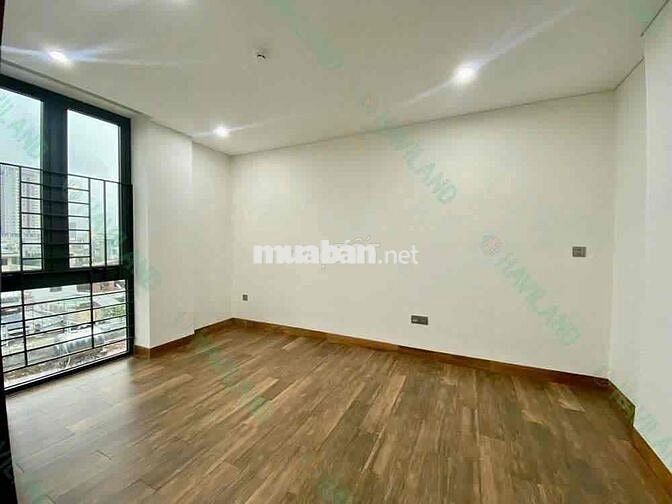 văn phòng gần cầu Sông Hàn - Đống Đa - Lê Duẩn