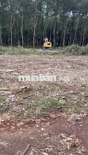 4 MIẾNG ĐẤT sổ đỏ TÂN LỢI TÌM NĂNG >1000m2 từ 400tr