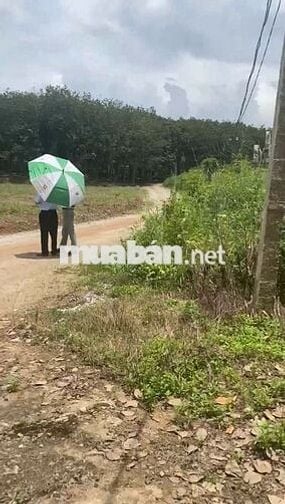 BÁN NHIỀU ĐẤT sổ đỏ HUYỆN HỚN QUẢN >200m2 từ 395tr