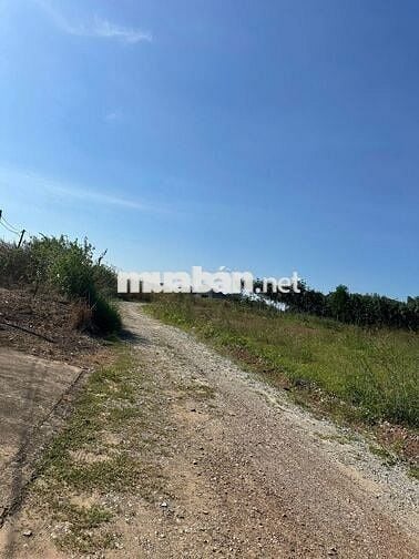 BÁN NHIỀU ĐẤT sổ đỏ HUYỆN HỚN QUẢN >200m2 từ 395tr