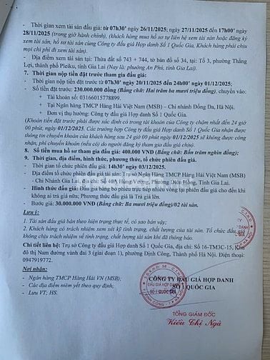 CÔNG TY ĐẤU GIÁ HỢP DANH SỐ 1 QUỐC GIA THÔNG BÁO BÁN ĐẤU GIÁ TÀI SẢN 