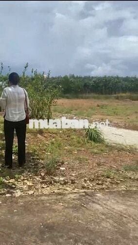 BÁN NHIỀU ĐẤT sổ đỏ HUYỆN HỚN QUẢN >200m2 từ 395tr