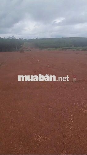 Bán 1 vài  MIẾNG ĐẤT TÂN TIẾN >200m2 giá từ 640tr!