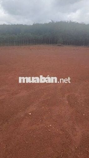 Bán 1 vài  MIẾNG ĐẤT TÂN TIẾN >200m2 giá từ 640tr!