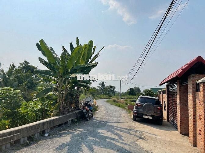 CHÍNH CHỦ GỬI BÁN GẤP 2 TỶ/384m2 NGAY BÌNH MỸ CỦ CHI , FULL THỔ , SHR