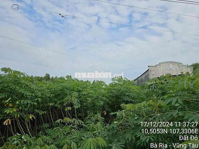 Ngân hàng Thanh Lý đất tại Láng Dài, Đất Đỏ, Vũng Tàu. DT: 153m2