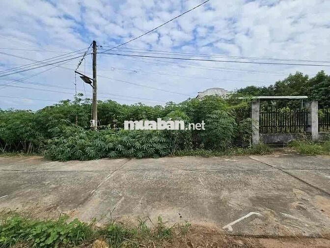 Ngân hàng Thanh Lý đất tại Láng Dài, Đất Đỏ, Vũng Tàu. DT: 153m2