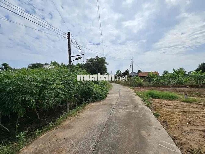 Ngân hàng Thanh Lý đất tại Láng Dài, Đất Đỏ, Vũng Tàu. DT: 153m2