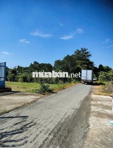 SIÊU HIẾM! LÔ ĐẤT 157M2/640TR NGAY CẠNH BÁCH HÓA XANH, NGUYỄN THỊ LẮNG