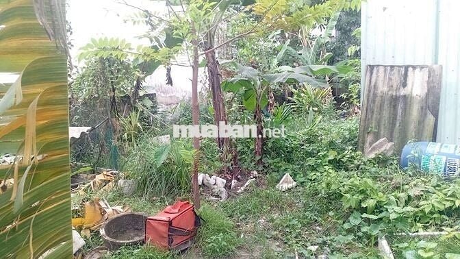 ĐẤT TC 5x22 SỔ HỒNG, KHU XUÂN THỚI ĐÔNG 1. GIÁ 3.65 TỶ