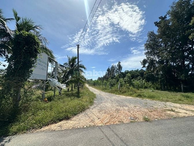 Siêu Phẩm 10023m2 View Biển LaGi – Giá Chỉ 2,6 Triệu/m² – Duy Nhất 1 L