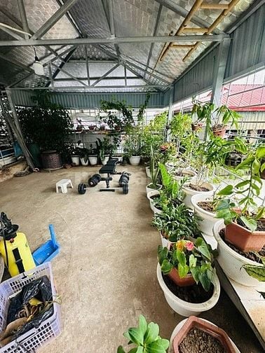 Cho thuê hộ gia đình thuê hoặc làm văn phòng công ty