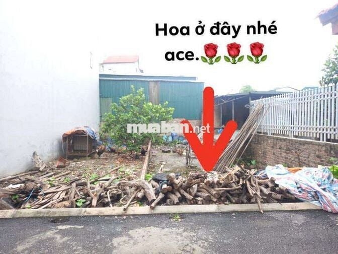 Bán đất đông dư gia lâm diện tích 60m2 giá 6,25tỷ