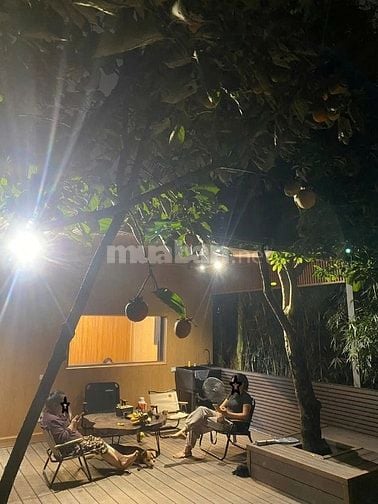 Bán mảnh vườn sau nhà (đất nông nghiệp)