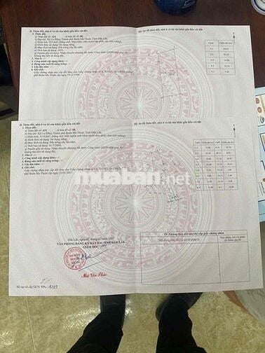 Bán lô đất ~ Gần 2 Sào Full Hồng ODT - Cách Vòng xoay Phạm Ngũ Lão ~ 5