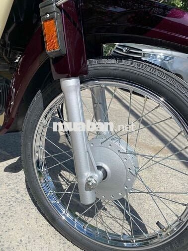 Drim thái , phục dựng mới nguyên con