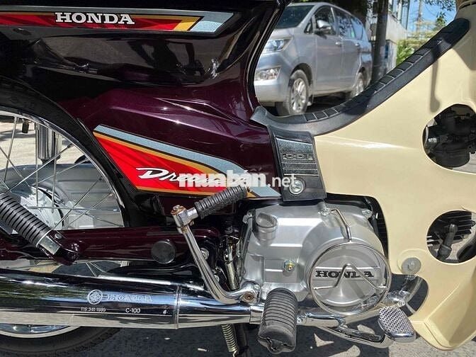 Drim thái , phục dựng mới nguyên con