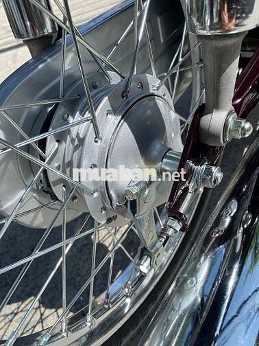 Drim thái , phục dựng mới nguyên con