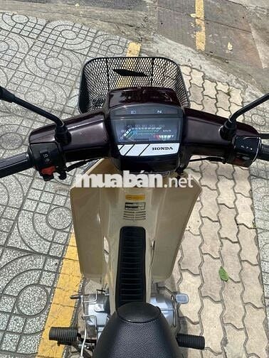 Drim thái , phục dựng mới nguyên con