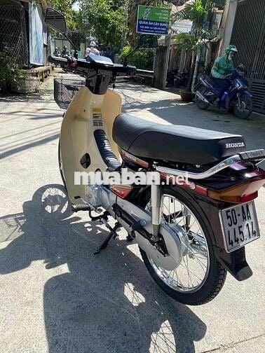 Drim thái , phục dựng mới nguyên con