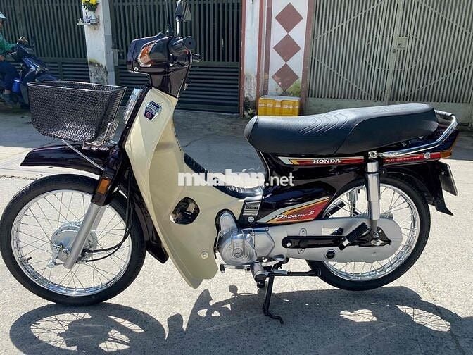 Drim thái , phục dựng mới nguyên con