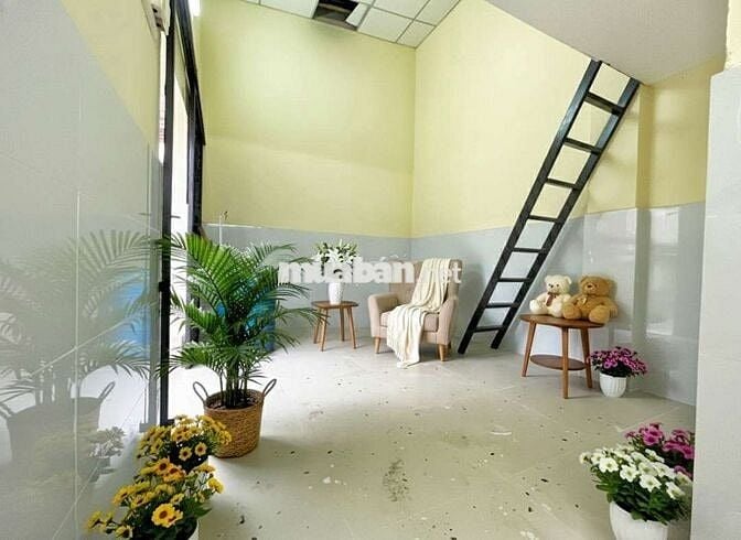 NGUYÊN CĂN MINI MỚI 100% VỪA Ở VỪA KINH DOANH GẦN NGÃ 5 CHUỒNG 🐶 GV