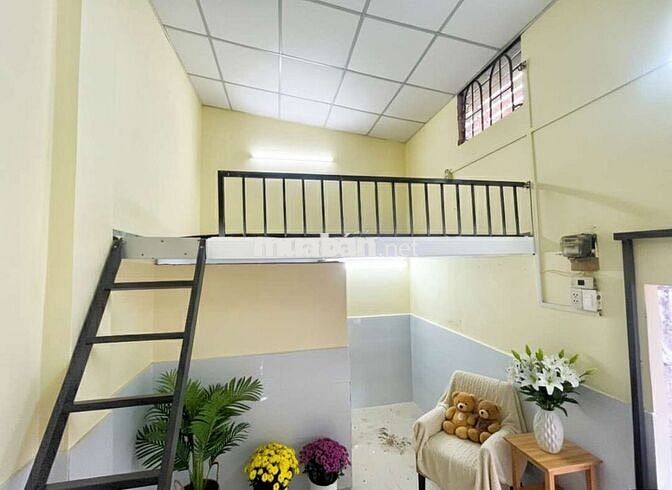 NGUYÊN CĂN MINI MỚI 100% VỪA Ở VỪA KINH DOANH GẦN NGÃ 5 CHUỒNG 🐶 GV