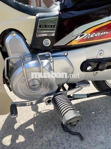 Drim thái , phục dựng mới nguyên con