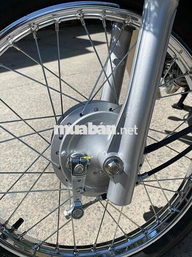 Drim thái , phục dựng mới nguyên con