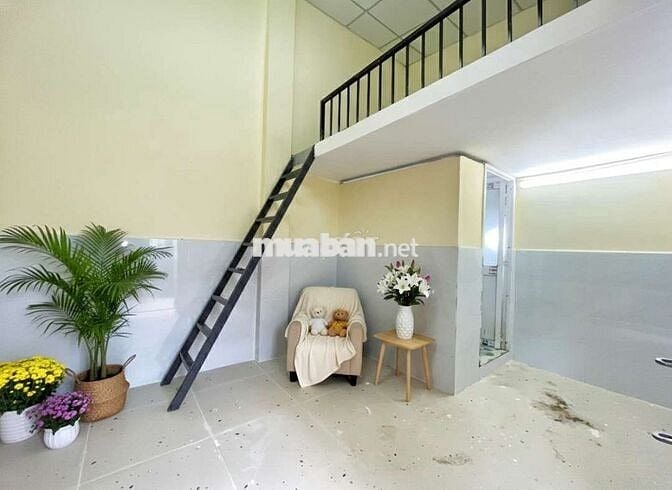 NGUYÊN CĂN MINI MỚI 100% VỪA Ở VỪA KINH DOANH GẦN NGÃ 5 CHUỒNG 🐶 GV