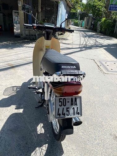 Drim thái , phục dựng mới nguyên con