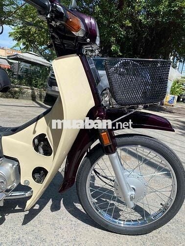 Drim thái , phục dựng mới nguyên con