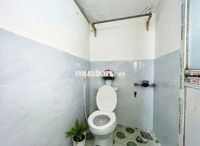 NGUYÊN CĂN MINI MỚI 100% VỪA Ở VỪA KINH DOANH GẦN NGÃ 5 CHUỒNG 🐶 GV