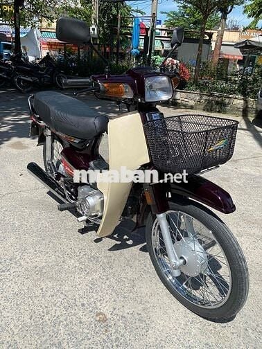 Drim thái , phục dựng mới nguyên con