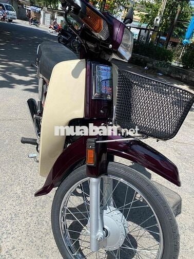 Drim thái , phục dựng mới nguyên con