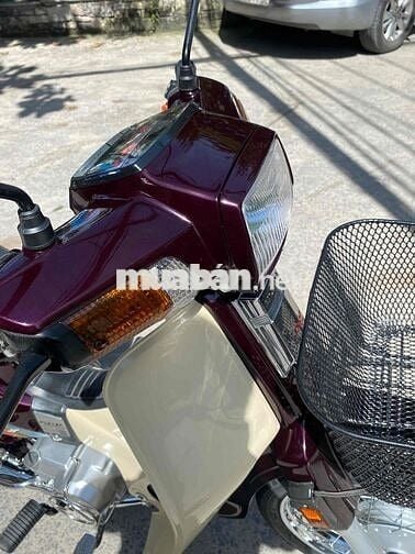 Drim thái , phục dựng mới nguyên con