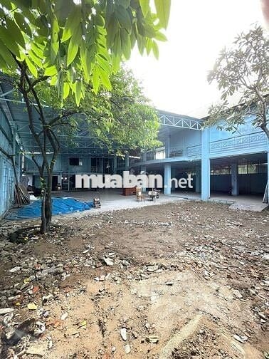 Cho thuê kho, mặt bằng kinh doanh 500m2 ngay Nguyễn Văn Linh, Quận 7