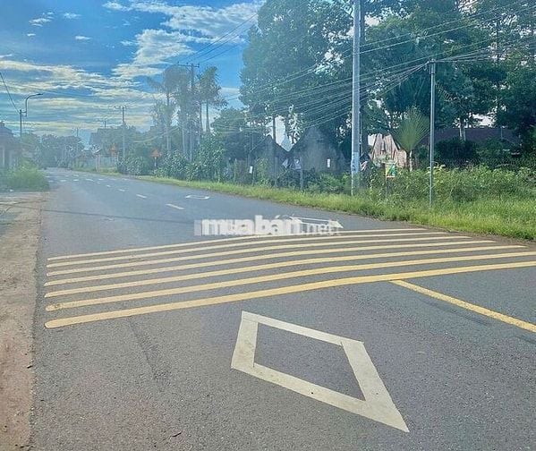 ĐẤT NGỘP_BÁN LỖ ĐẤT PHƯỜNG BÌNH LỘC _ĐỒNG NAI_10m x 28m THỔ CƯ SỔRIÊNG