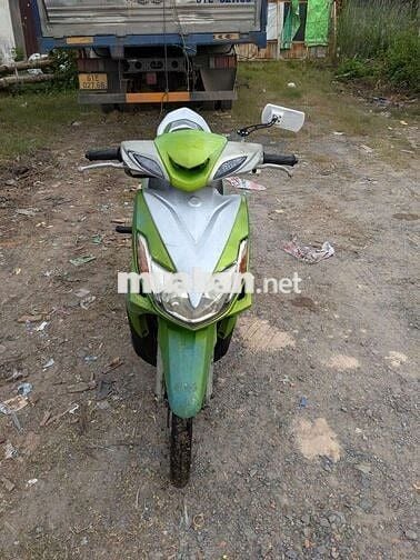 Xe máy Xe ga Xanh lá, Bạc