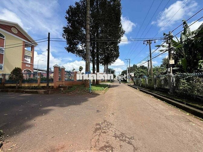 ĐẤT NGỘP_BÁN LỖ ĐẤT PHƯỜNG BÌNH LỘC _ĐỒNG NAI_10m x 28m THỔ CƯ SỔRIÊNG