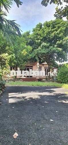 Cho thuê biệt thự hhg  gần ngã tư ga  500m giá 20tr