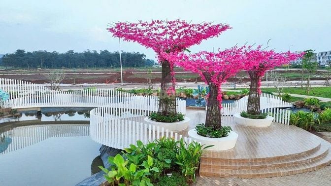 ĐẤT NỀN TRUNG TÂM ĐẦU GIÂY ĐỒNG NAI Giá chỉ từ 18-20 triệu/m²