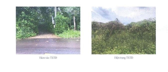 BÁN ĐẤU GÍA TS VIB L15_XÃ XUÂN TÂY, CẨM MỸ, ĐỒNG NAI