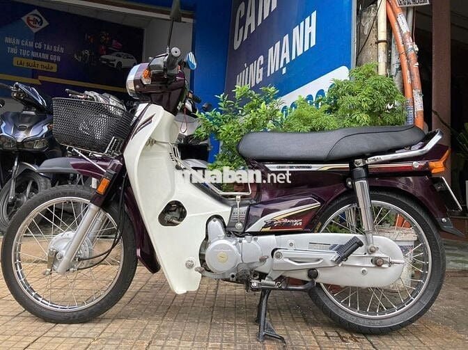 Honda / Super Dream 2013