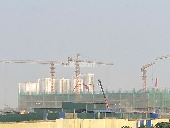 Ban đất đấu giá Xuân trạch, Tứ liên, Vin Cổ Loa