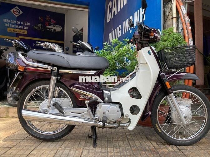 Honda / Super Dream 2013