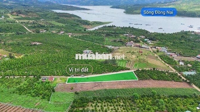 Đất View Sông full thổ 100m2 chỉ 299tr SHR