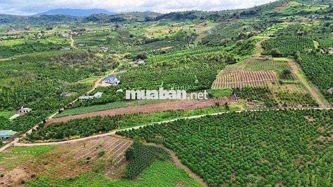 Đất View Sông full thổ 100m2 chỉ 299tr SHR