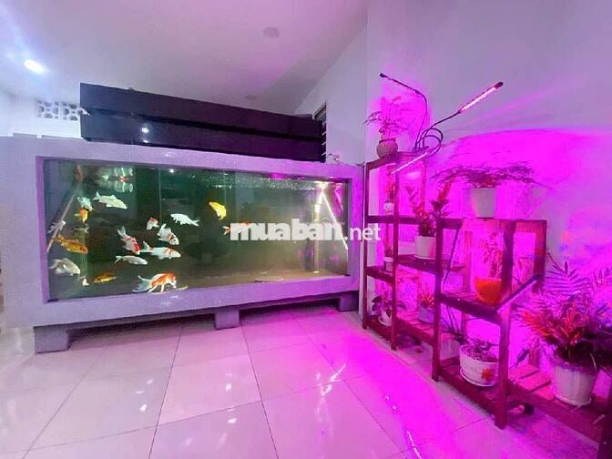 Mặt bằng quá đẹp – 112m2 – Hẻm 7m – Tân Phú